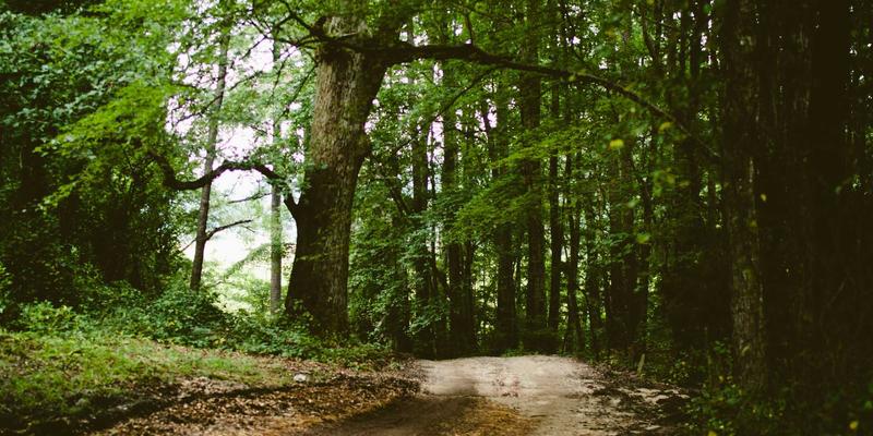 丧偶后情感重建咨询：如何通过压力管理与专业心理健康服务走出哀伤，重获幸福星