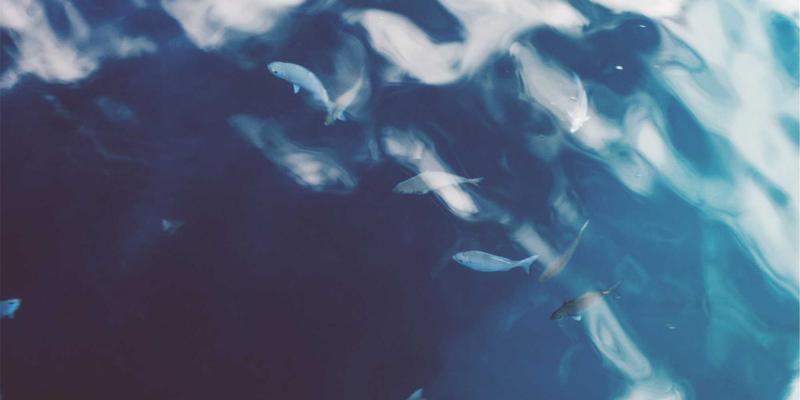 中年婚姻危机何时寻求情感咨询？识别3个关键介入时机