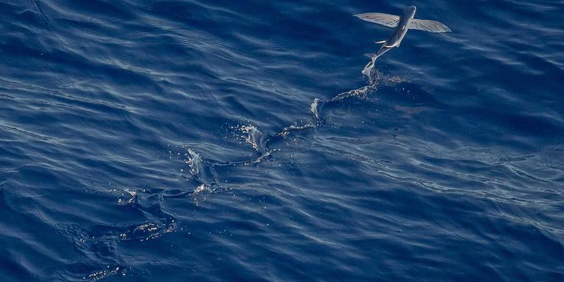 中年婚姻情感重塑咨询：用专业情绪支持与人际关系咨询重燃共同目标