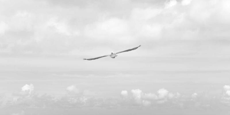 分手后情感修复咨询指南：通过人际关系咨询与压力管理重建自我