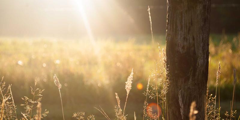 情感咨询51：压力管理与情绪支持，如何找回内心的平衡与力量