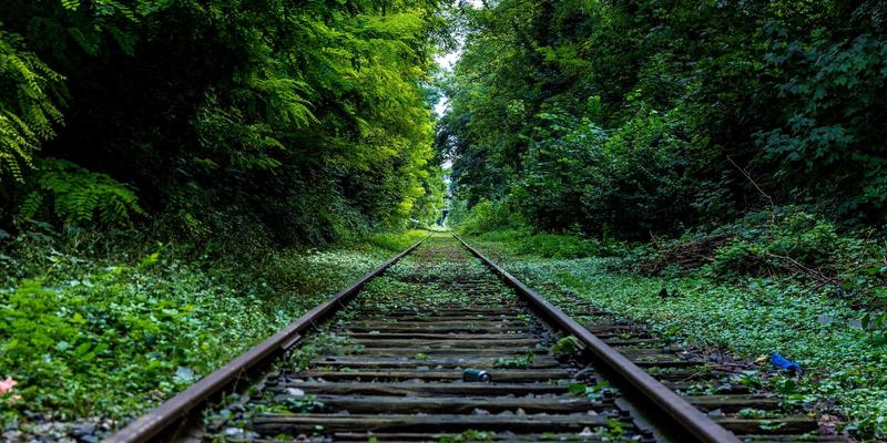 情感咨询82：当人际关系陷入困境，在线心理咨询如何提供专业支持