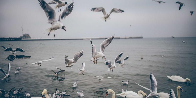 情感咨询如何选择?深度对比人际关系咨询、在线心理咨询与传统心理健康服务