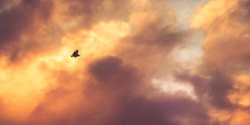 情感咨询师指导下的非暴力沟通：化解家庭压力，重塑亲密关系的心理健康服务