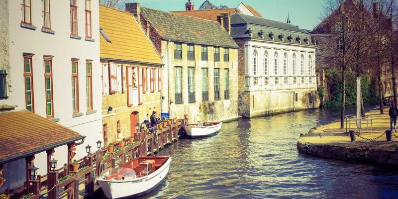 数字时代的信任危机：社交媒体如何侵蚀亲密感与专业心理健康服务的修复之路